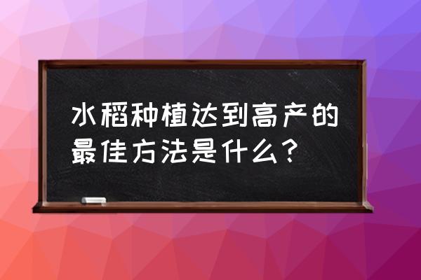 落地星兜怎么发根 水稻种植达到高产的最佳方法是什么？