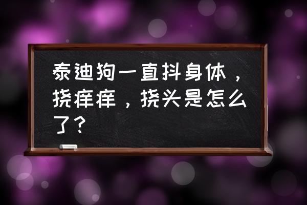 狗狗总是挠自己身上怎么办 泰迪狗一直抖身体，挠痒痒，挠头是怎么了？