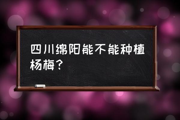 杨梅树适合哪些地区种植 四川绵阳能不能种植杨梅？