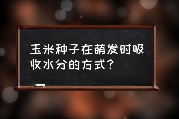 玉米是怎么传播自己的种子的 玉米种子在萌发时吸收水分的方式？