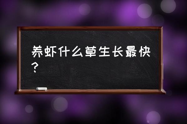 一米深的水池能种什么草 养虾什么草生长最快？