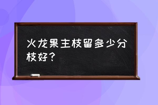 如何让火龙果主枝条粗壮 火龙果主枝留多少分枝好？