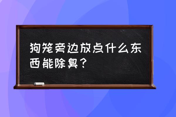 三个月狗狗嘴巴臭味怎么去除 狗笼旁边放点什么东西能除臭？