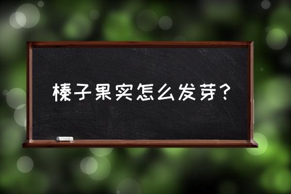 大榛子种子育苗方法 榛子果实怎么发芽？