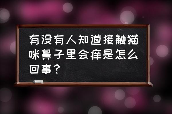 怎么判断猫毛过敏导致的鼻炎 有没有人知道接触猫咪鼻子里会痒是怎么回事？