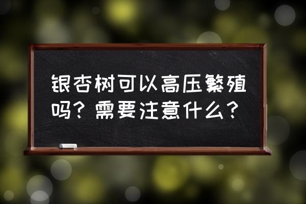 银杏树苗怎么育苗的 银杏树可以高压繁殖吗？需要注意什么？