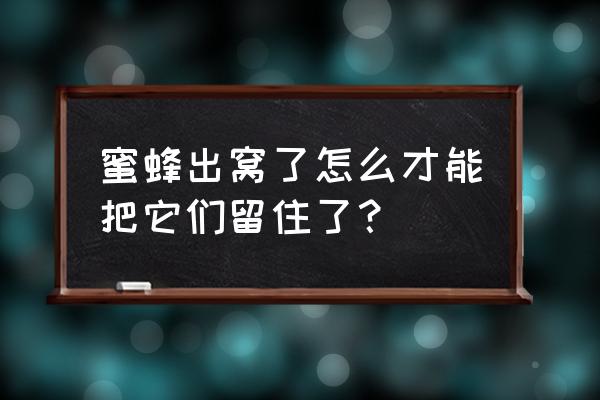 怎么留蜂王最好 蜜蜂出窝了怎么才能把它们留住了？