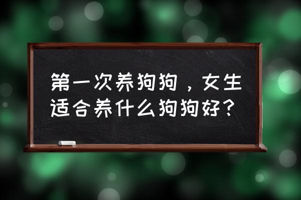 约克夏犬为什么不适合新手 第一次养狗狗，女生适合养什么狗狗好？