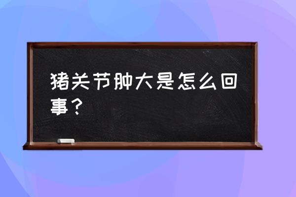 副猪嗜血杆菌病和链球菌 猪关节肿大是怎么回事？