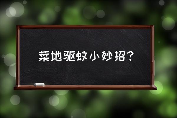 菜园杀虫什么药最好 菜地驱蚊小妙招？