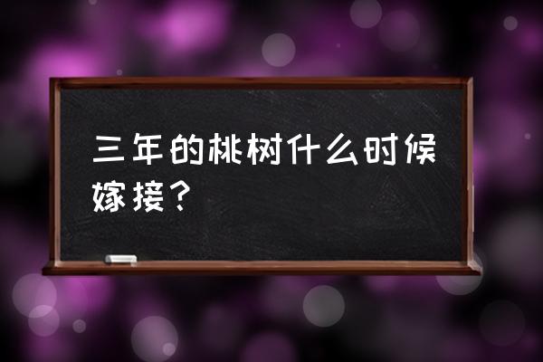 桃树嫁接的时间和技术 三年的桃树什么时候嫁接？