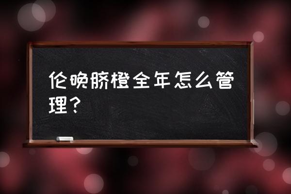 脐橙保果的最佳方法 伦晚脐橙全年怎么管理？