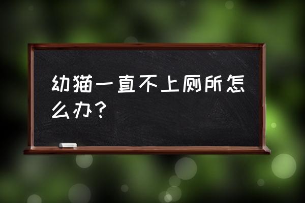 猫换环境不上厕所怎么办 幼猫一直不上厕所怎么办？