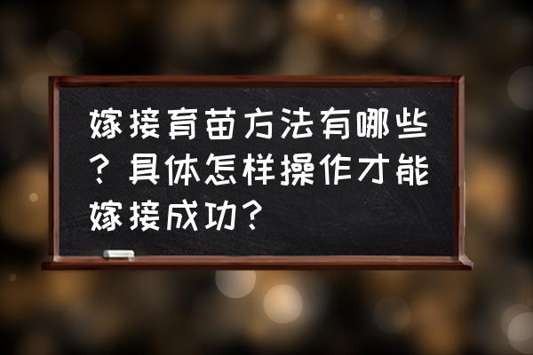 萝卜雕刻月季花底座教程 嫁接育苗方法有哪些？具体怎样操作才能嫁接成功？