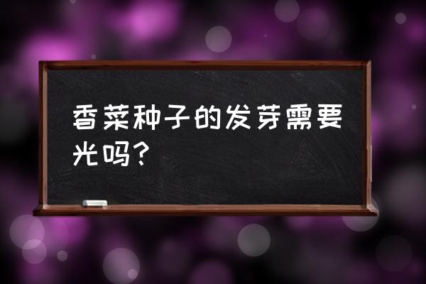 香菜种子催芽要泡水多久 香菜种子的发芽需要光吗？