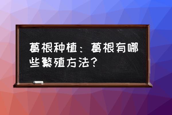 新鲜葛根怎么挑选 葛根种植：葛根有哪些繁殖方法？