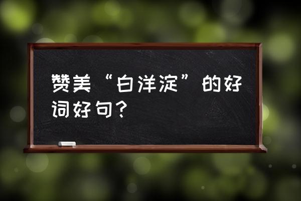 白洋淀哪个景点值得去 赞美“白洋淀”的好词好句？