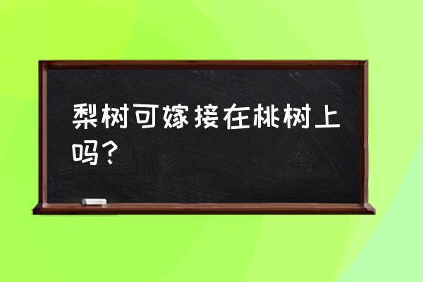 梨树上能嫁接啥树 梨树可嫁接在桃树上吗？