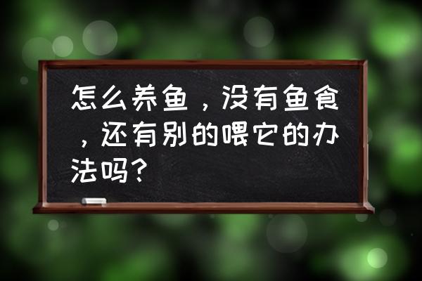 个人做鱼食的方法 怎么养鱼，没有鱼食，还有别的喂它的办法吗？