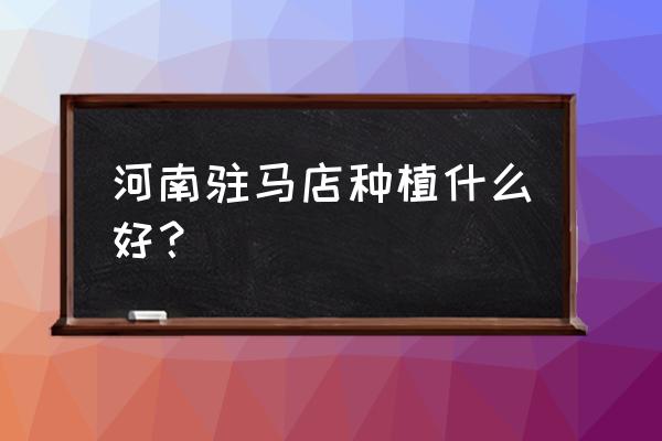 白花蛇舌草种子怎么播种 河南驻马店种植什么好？