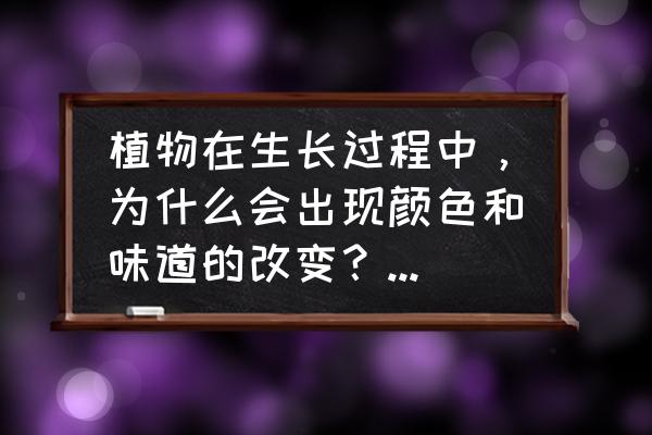 种子成熟期间干重变化 植物在生长过程中，为什么会出现颜色和味道的改变？内在的根据是什么？