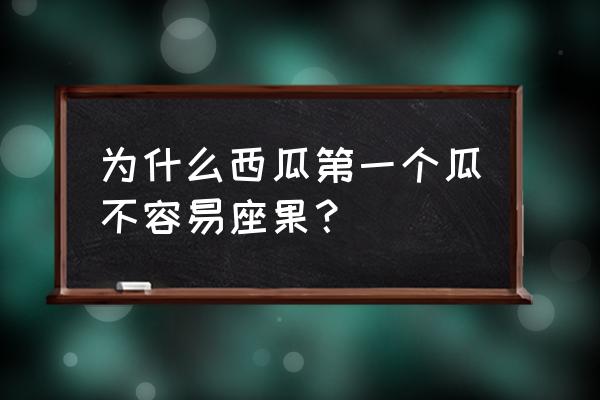 西瓜开花后长不大就落了怎么回事 为什么西瓜第一个瓜不容易座果？