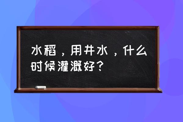 水稻田什么时候排水最佳 水稻，用井水，什么时候灌溉好？