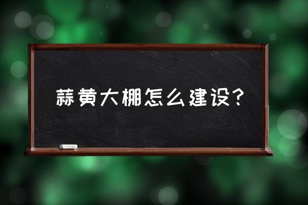 地下温室大棚为什么会成功 蒜黄大棚怎么建设？