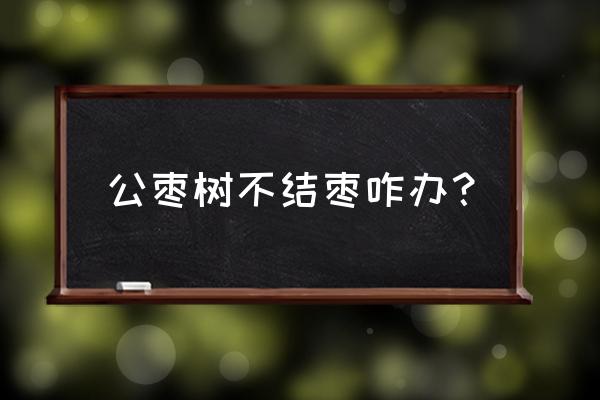 为什么今年的枣树不结枣 公枣树不结枣咋办？