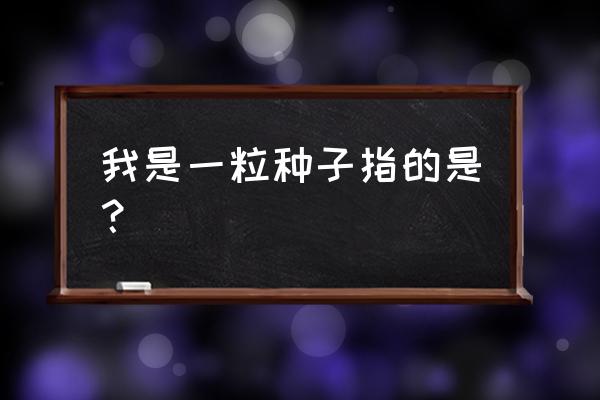 一粒种子游戏攻略 我是一粒种子指的是？