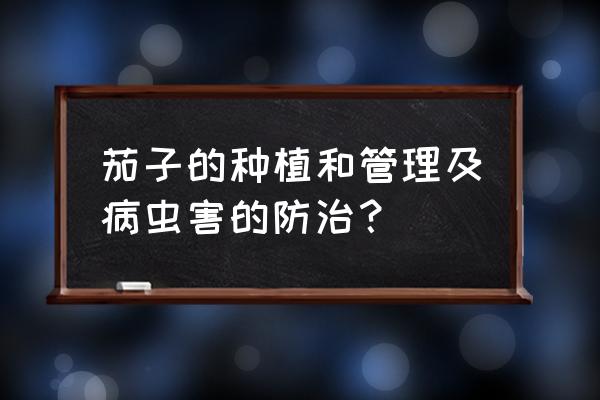 茄子病虫害防治技术大全 茄子的种植和管理及病虫害的防治？