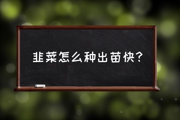 韭菜怎样种容易出苗 韭菜怎么种出苗快？