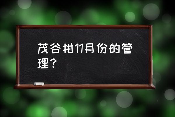 柑橘黄龙病用什么药治 茂谷柑11月份的管理？