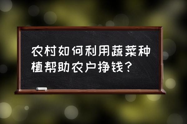 学会种植蔬菜的小妙招 农村如何利用蔬菜种植帮助农户挣钱？