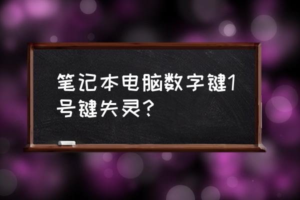 笔记本键盘失灵个别字母不灵 笔记本电脑数字键1号键失灵？