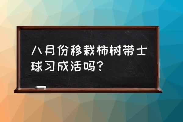 柿子树移栽最佳方法 八月份移栽柿树带士球习成活吗？