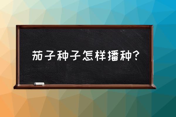 种茄子的方法和步骤 茄子种子怎样播种？