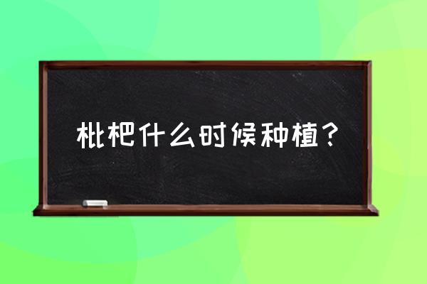 枇杷树最佳种植时间和方法 枇杷什么时候种植？