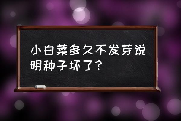 小白菜种子怎么种植 小白菜多久不发芽说明种子坏了？