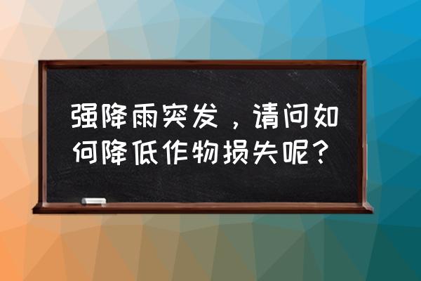 为什么暴雨过后及时给农田排涝 强降雨突发，请问如何降低作物损失呢？