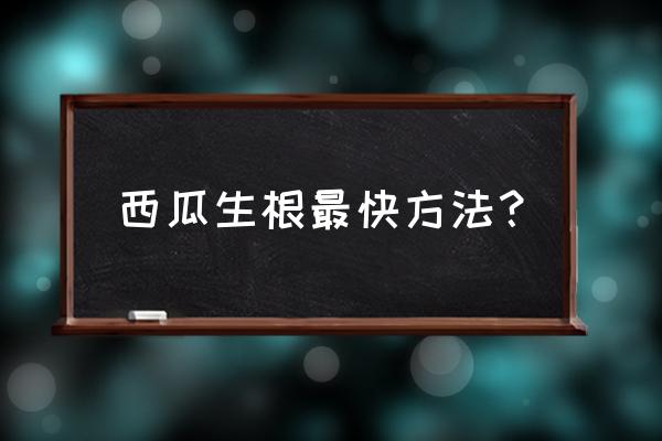 西瓜种子怎么育苗 西瓜生根最快方法？