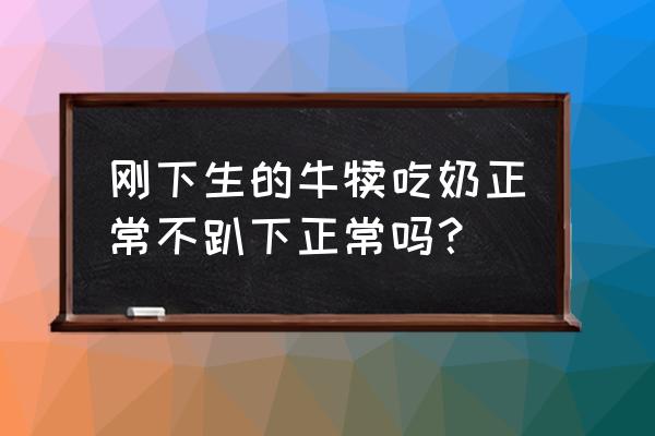 牛舍建设安全要求标准有哪些 刚下生的牛犊吃奶正常不趴下正常吗？