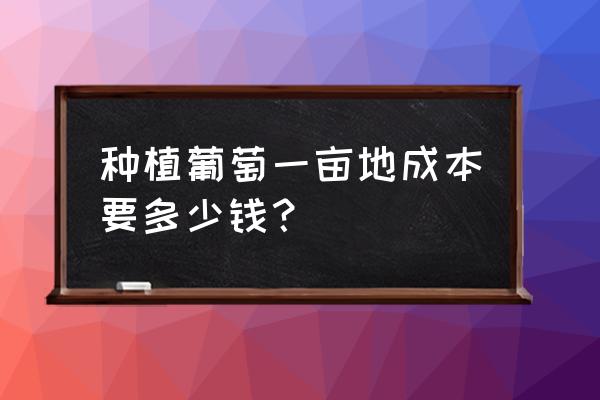 200元一斤的葡萄 种植葡萄一亩地成本要多少钱？