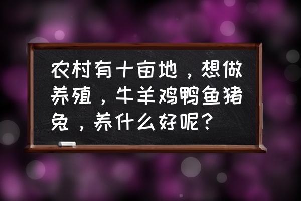 家庭生态养殖什么最赚钱 农村有十亩地，想做养殖，牛羊鸡鸭鱼猪兔，养什么好呢？