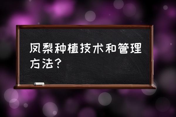 用凤梨的种子种出凤梨苗小妙招 凤梨种植技术和管理方法？