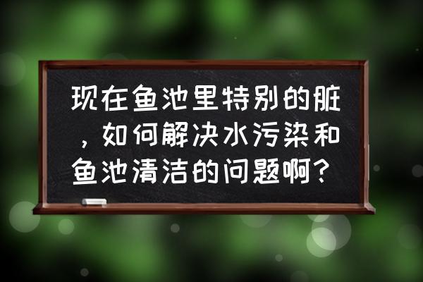 室外鱼池无过滤水怎么才能清澈 现在鱼池里特别的脏，如何解决水污染和鱼池清洁的问题啊？