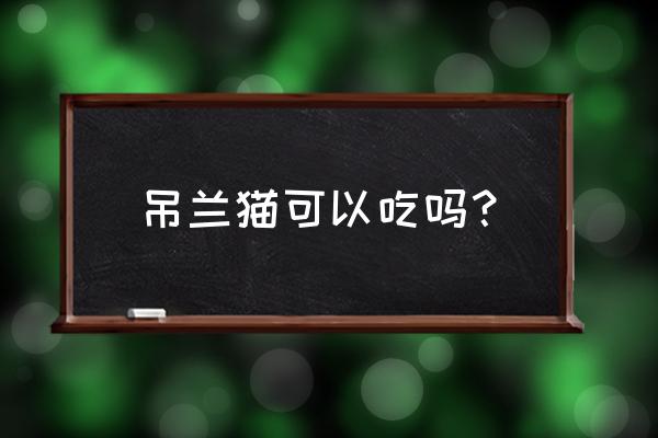 盆栽猫草怎么养 吊兰猫可以吃吗？