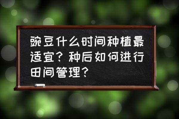 豌豆什么时候买最好 豌豆什么时间种植最适宜？种后如何进行田间管理？